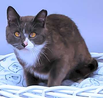 Photo of Julia C25-131