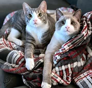 Photo of Dusty & Sandy