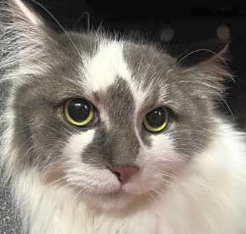 Photo of CHEX