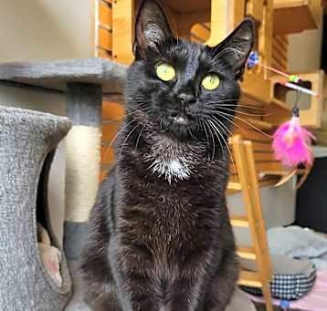 Photo of Spruce