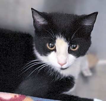 Photo of Delilah