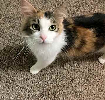 Photo of Hermione