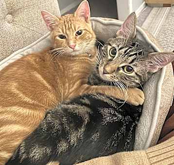 Photo of Lyle and Sammy
