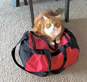Photo of Callaway