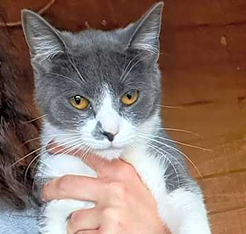 Photo of Astrid