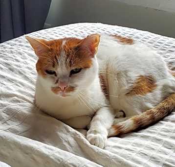 Photo of Mama Ava