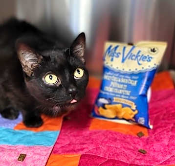 Photo of Miss Vickies