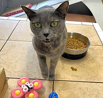 Photo of STORMY