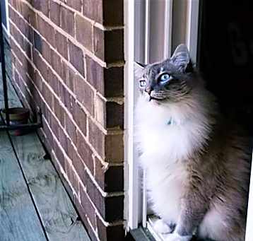 Photo of MIKO