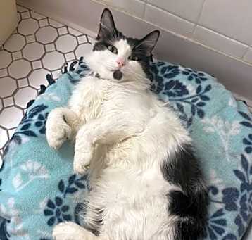 Photo of Tiny