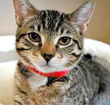 Photo of CUPID