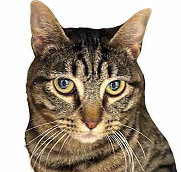 Photo of Jujubee
