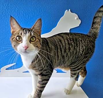 Photo of Sir Winston