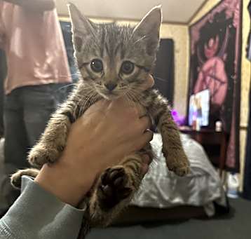 Photo of Ozzie