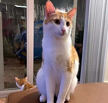 Photo of Cliff (and Norm)