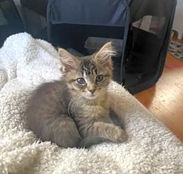 Photo of Sisi