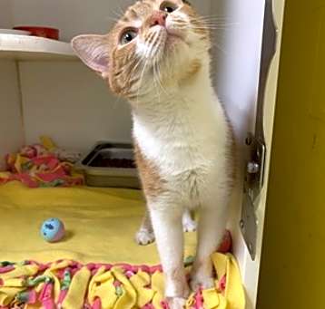Photo of Sunny