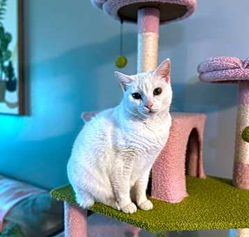 Photo of Mune
