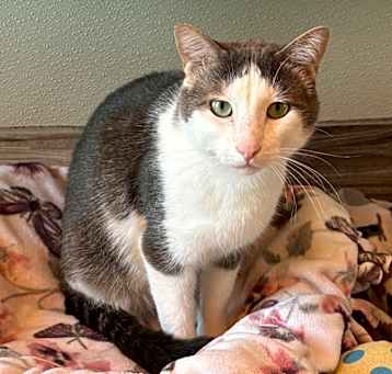 Photo of Slasher