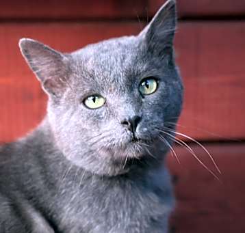 Photo of Dusty Orwell