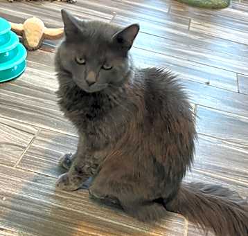 Photo of Jordence