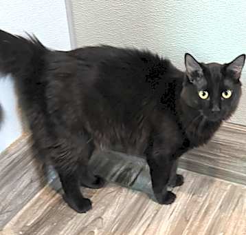 Photo of Bruce Wayne