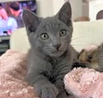 Photo of Simon 4675
