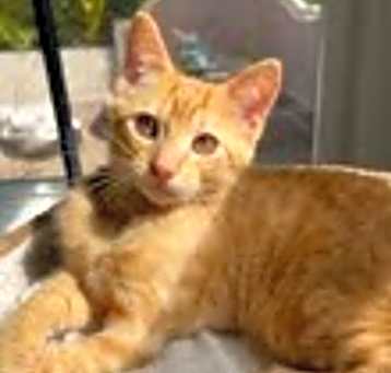 Photo of Wally 4673