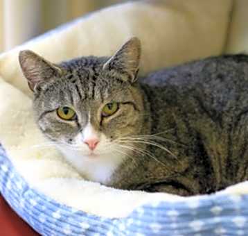 Photo of Catricia