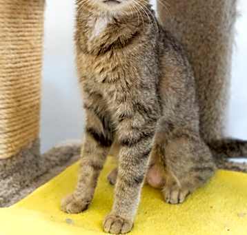 Photo of Skeeter