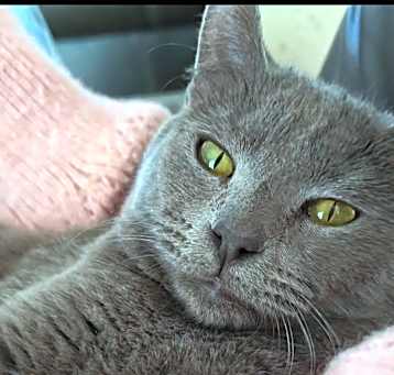 Photo of Jasper