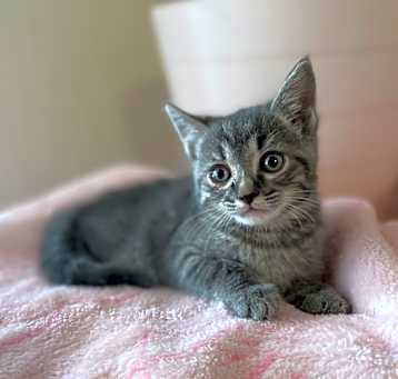 Photo of Spunky