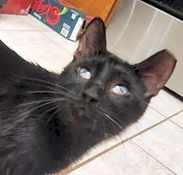 Photo of Endora