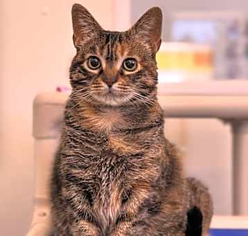 Photo of Wally