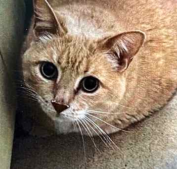 Photo of Calvin