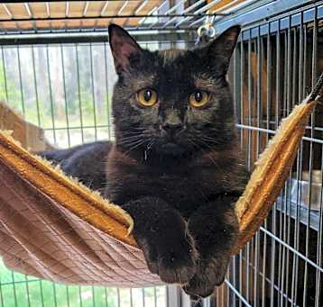 Photo of Kazi