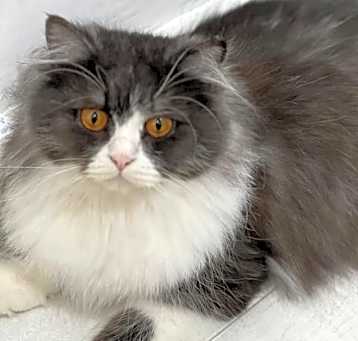 Photo of Huda