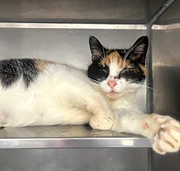 Photo of MAMA COCO