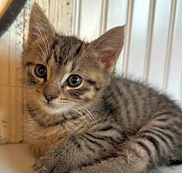 Photo of Zig