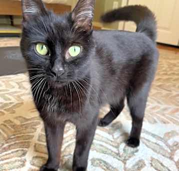 Photo of Luna