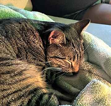Photo of Reggie