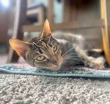 Photo of Luna
