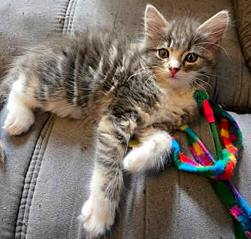 Photo of Sailor