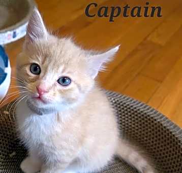 Photo of Captain