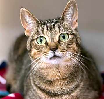 Photo of Rosie