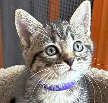 Photo of Jill