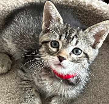 Photo of Jenny