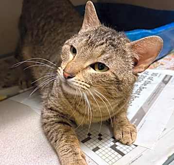 Photo of Bucket