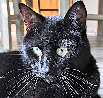 Photo of Rosie