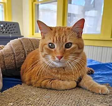 Photo of Sweetie